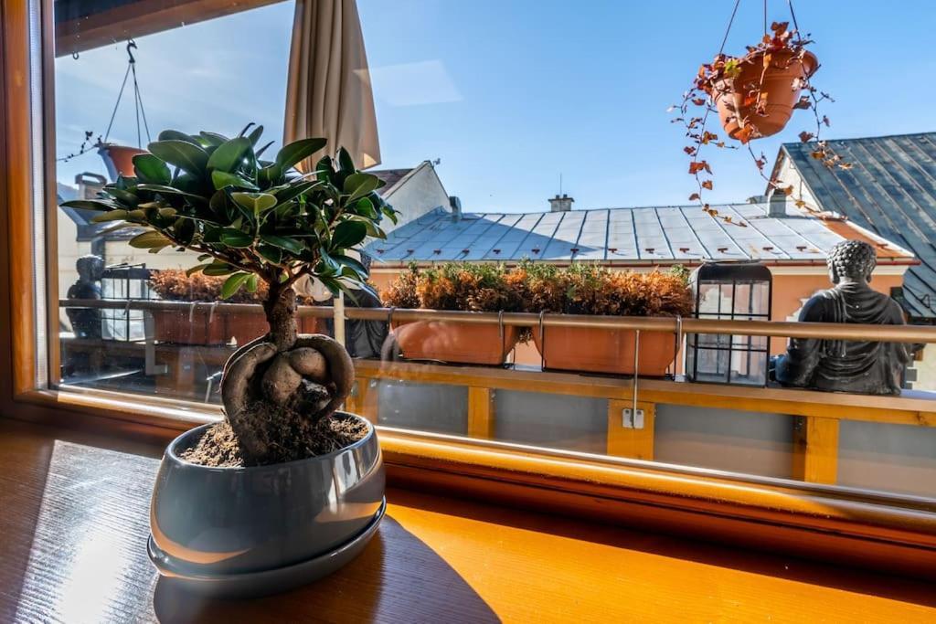 Apartman Strieborna V Centre Mesta Banská Bystrica Exteriér fotografie