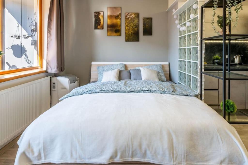 Apartman Strieborna V Centre Mesta Banská Bystrica Exteriér fotografie